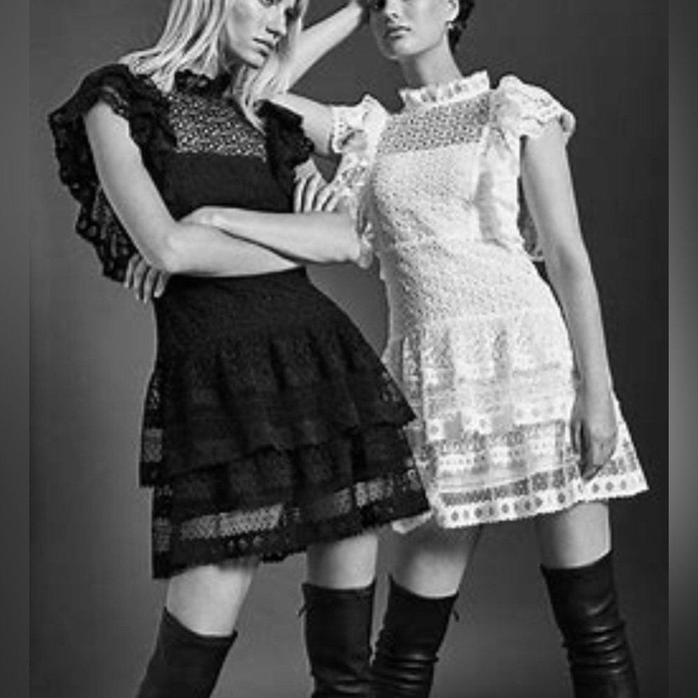 Anine Bing Penelope Lace Ruffle Teired Mini Dress Size M NWT - Picture 4 of 16